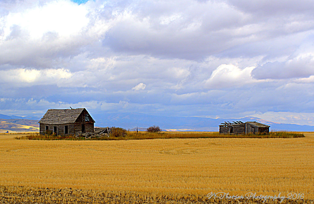 Old House in a Wheat Field 9-5-2016.jpg