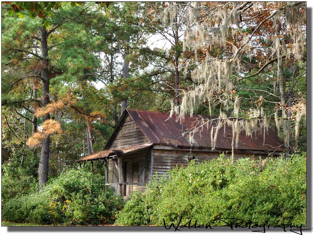 Old House
