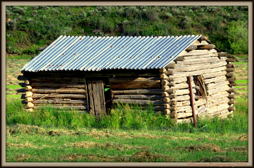 Old Log House.jpg