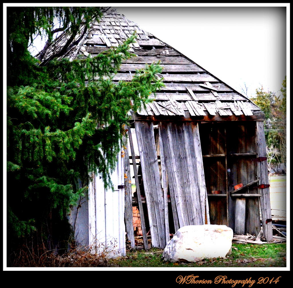 Old Out Building at the Old Victorian Color.jpg