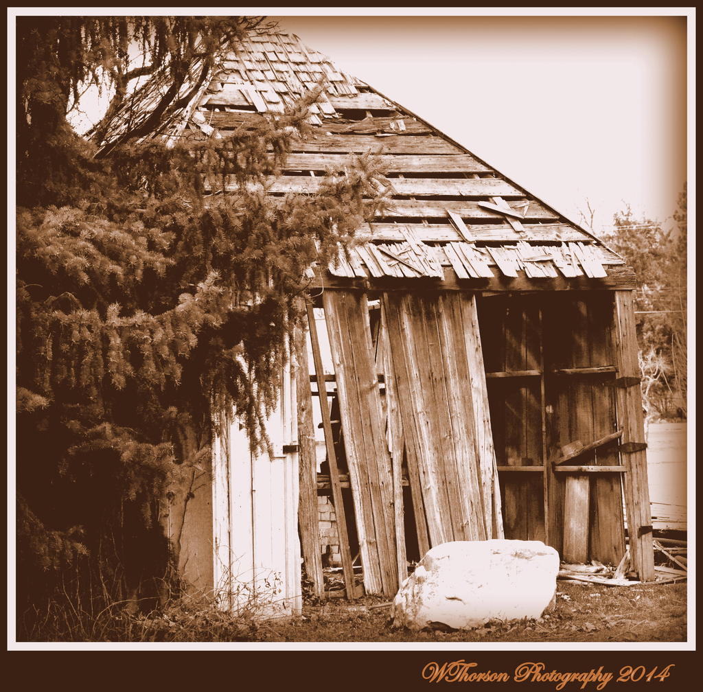 Old Out Building at the Old Victorian.jpg