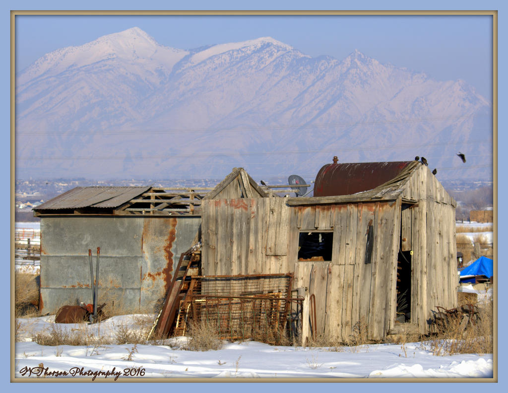 Old Shed in Lehi 2-7-2016.jpg