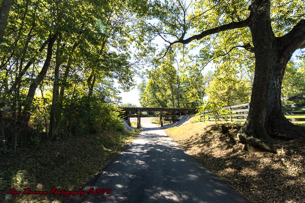 Old Tressel-4409.jpg