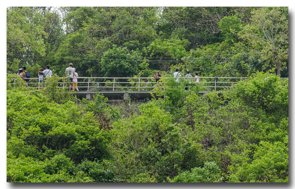 on-the-bridge.jpg