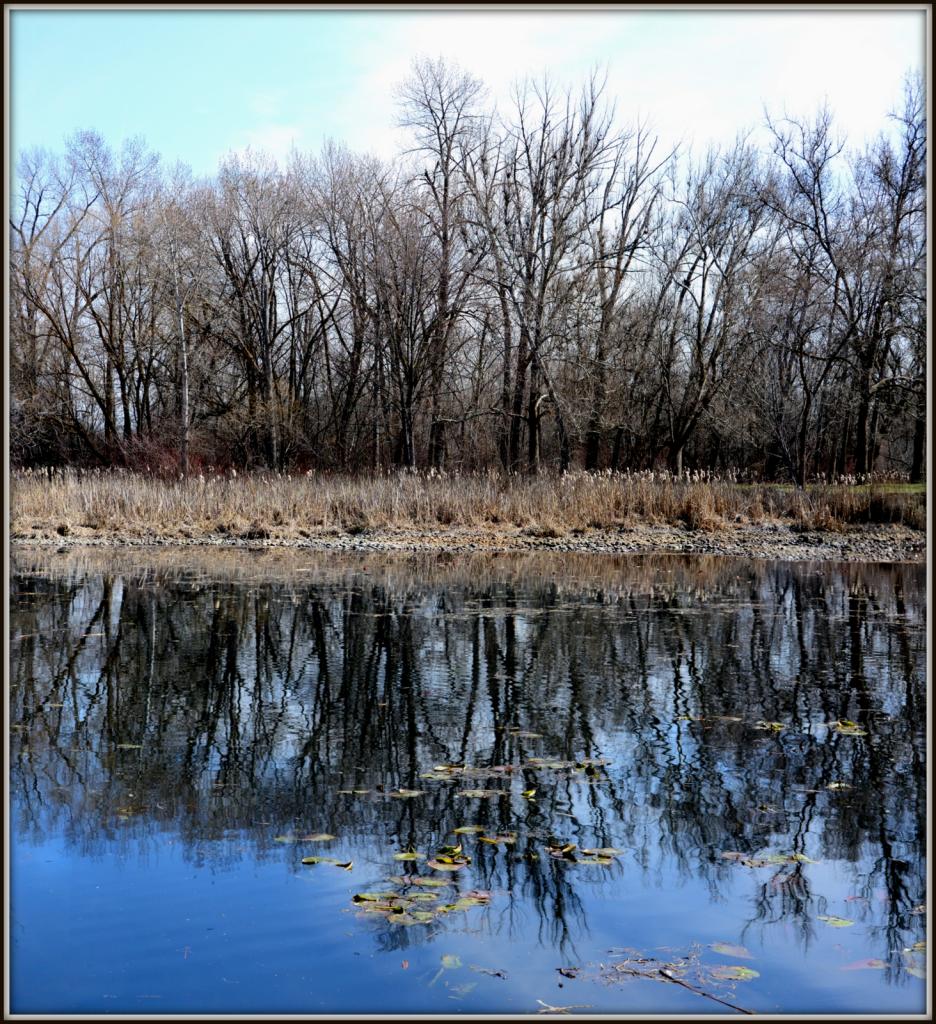 onhd 063 Stitch.jpg