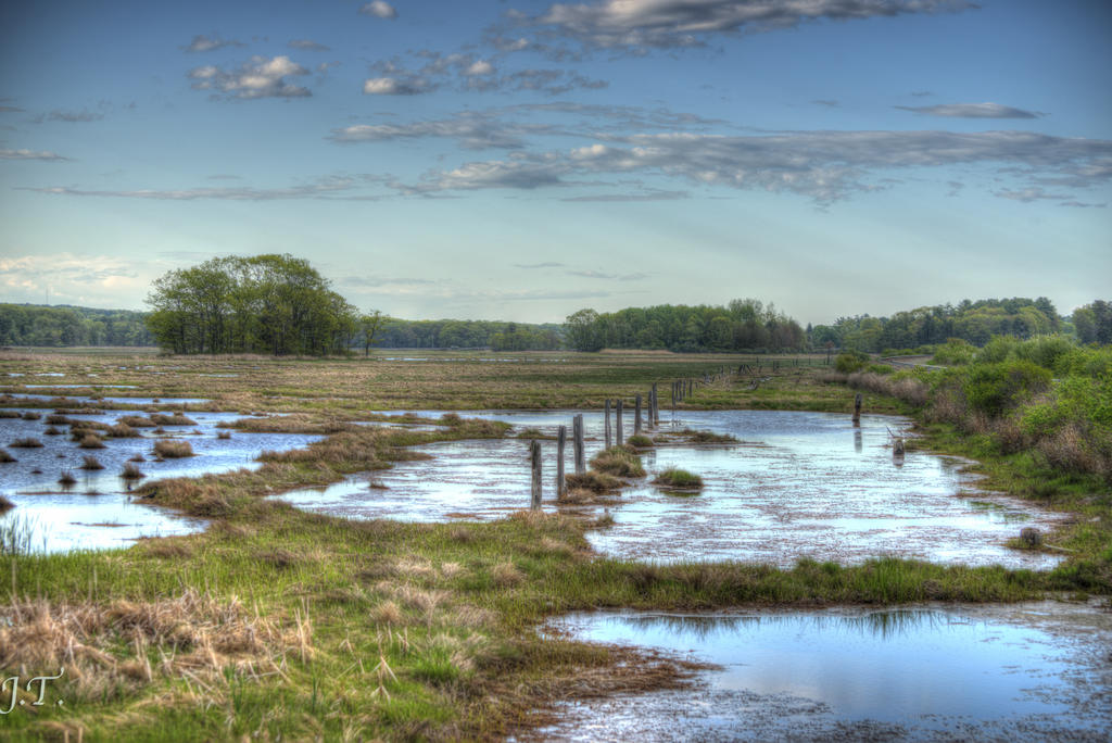 Marsh-a - Swampy