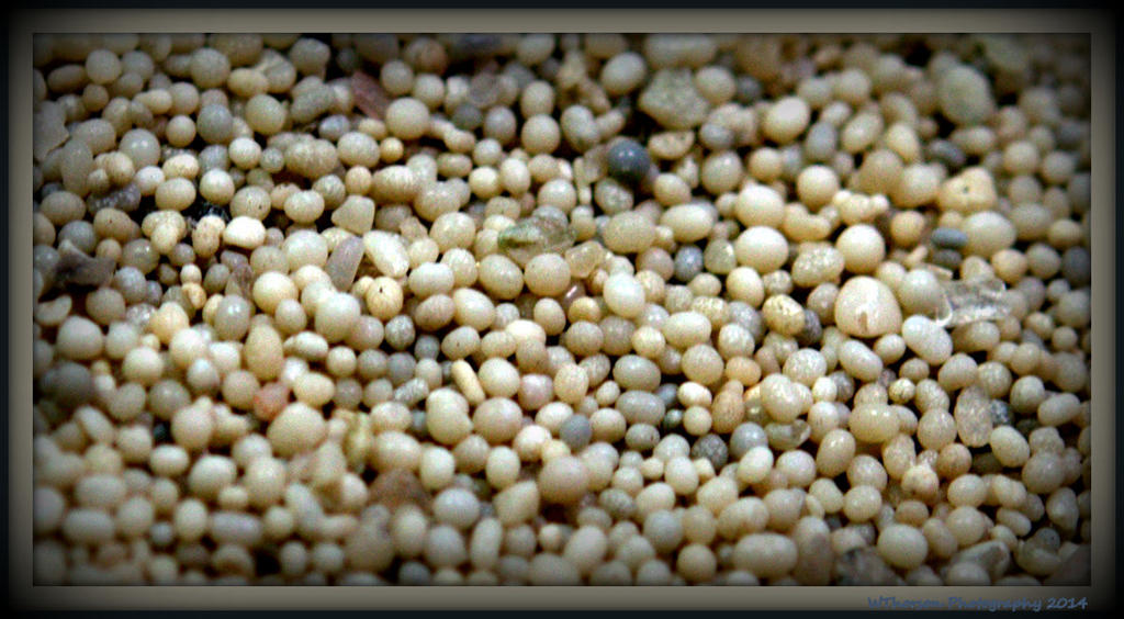 Oolitic Sand.jpg