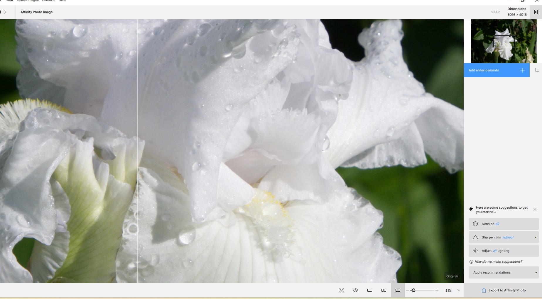 opened as a plugin.jpg