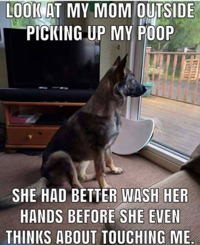 Opera-Snapshot_2019-05-27_100852_www.facebook.jpg