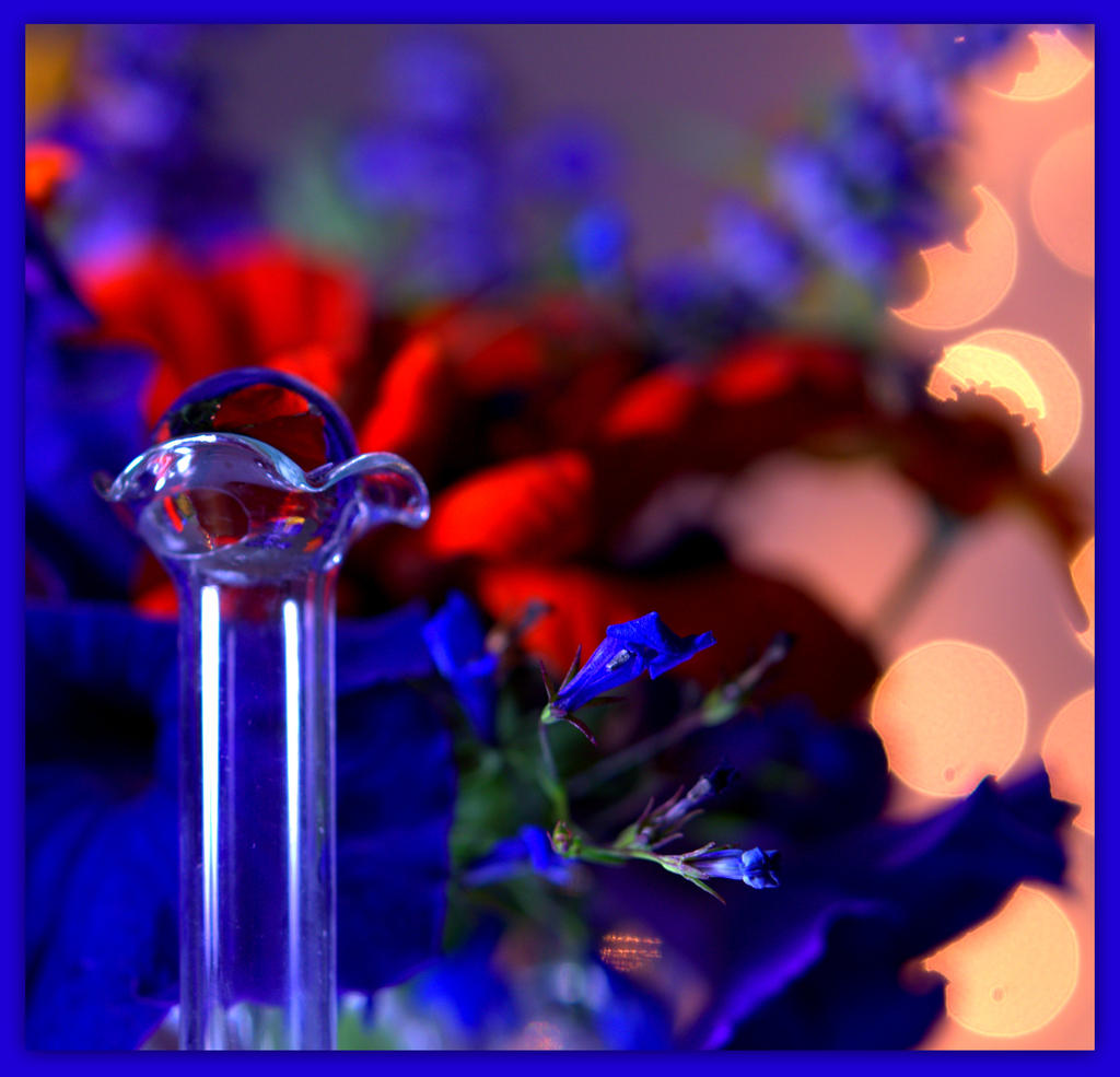 Orange and Blue with Bokeh.jpg