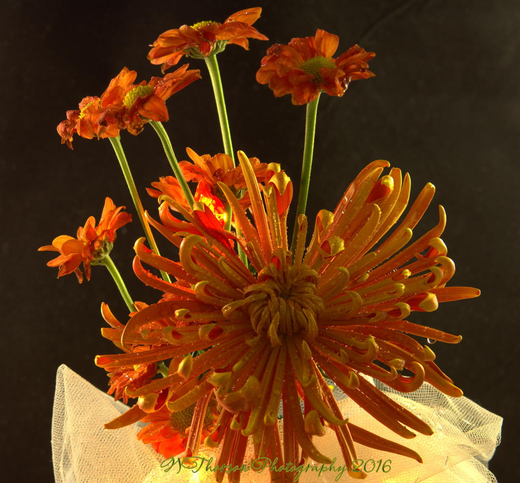 Orange Bouquet 11-2-2016.jpg