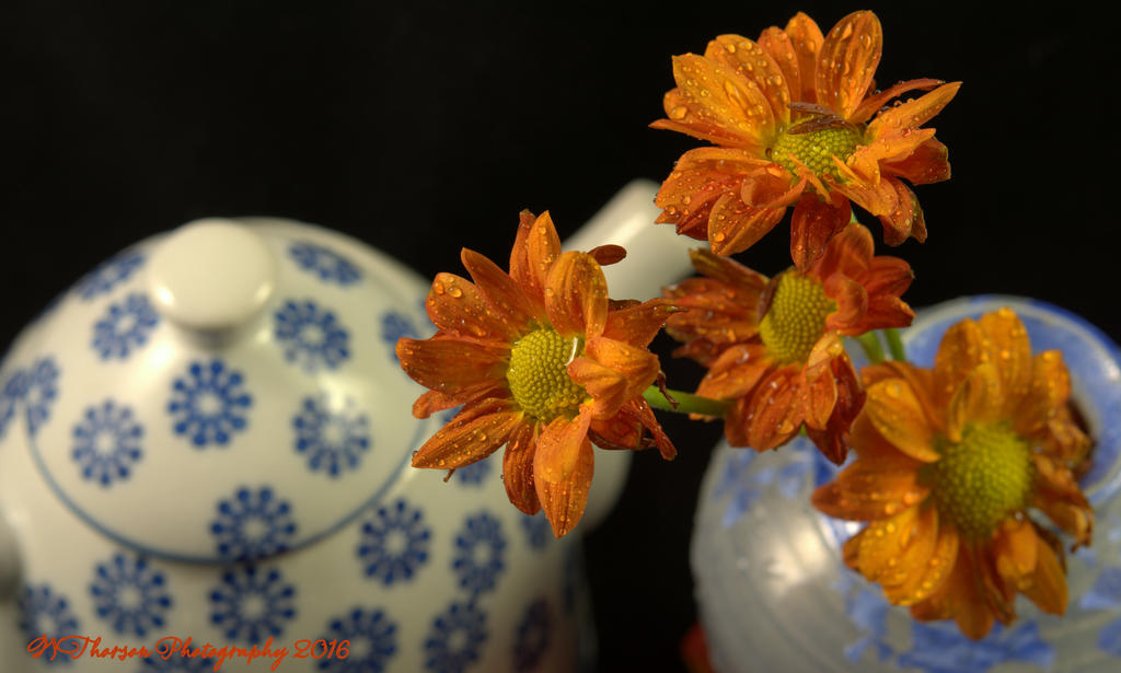 Orange Flowers and Blue Pots  11-1-2016.jpg