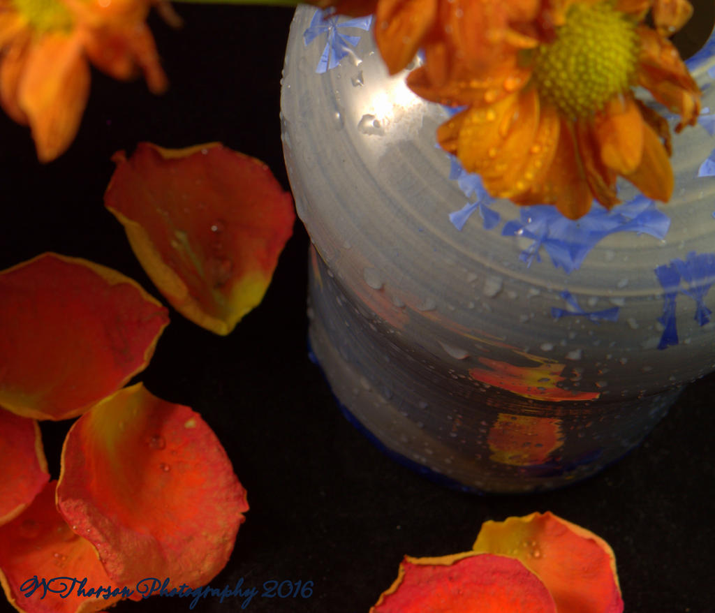 Orange Petals and Blue Pot  11-1-2016.jpg