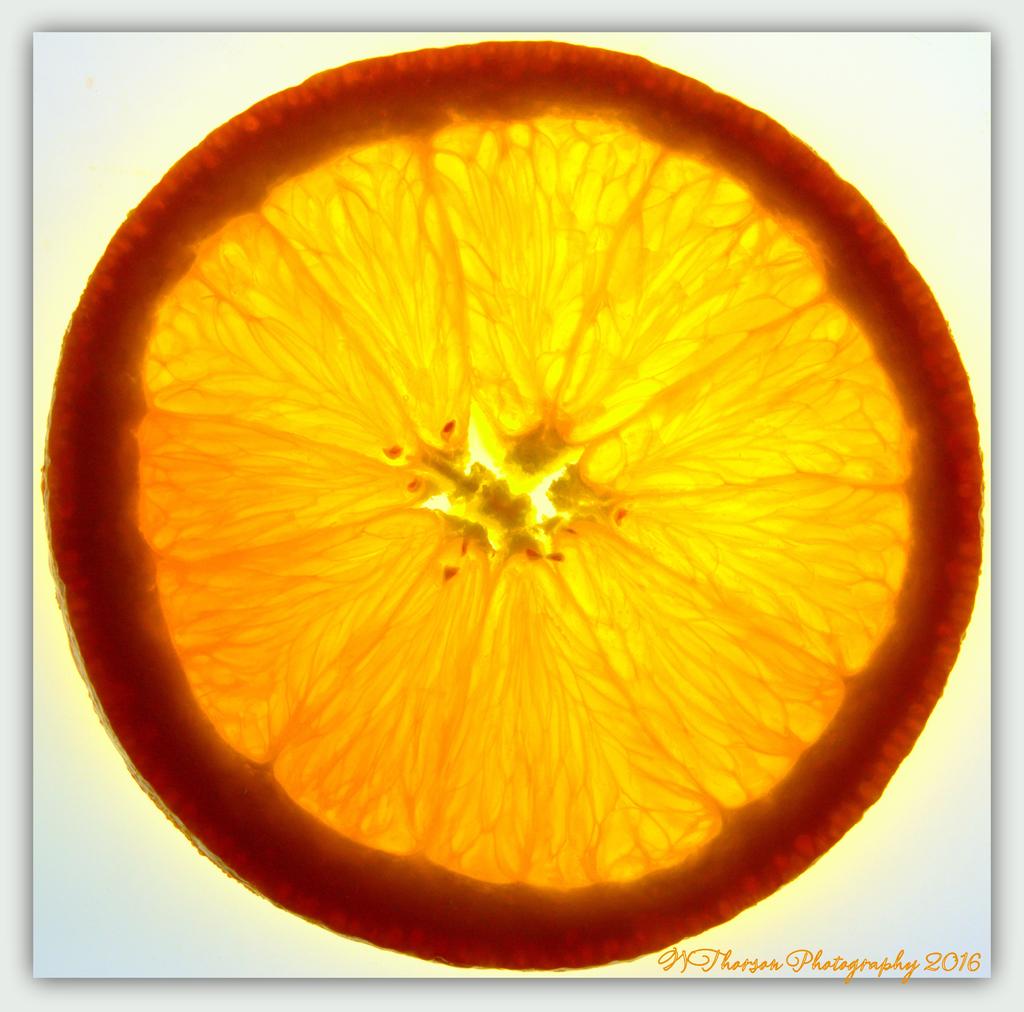 Orange Slice 5-4-2016.jpg