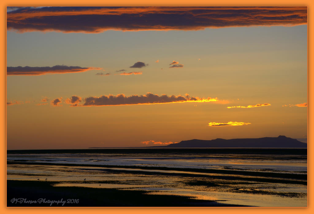 Orange Sunset © Wendy Thorson 5-8-2016.jpg