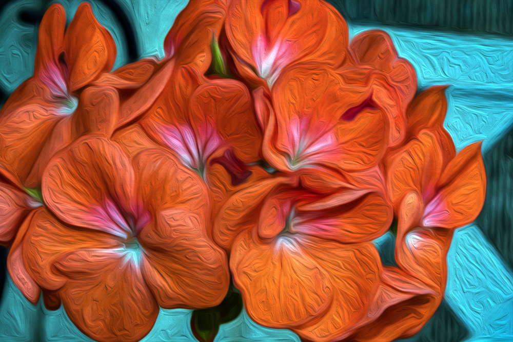 ORANGEFLOWEROIL.jpg