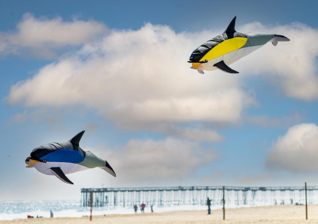 Orca Balloons from front (1 of 1).jpg