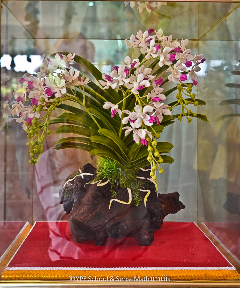 orchid-1.jpg