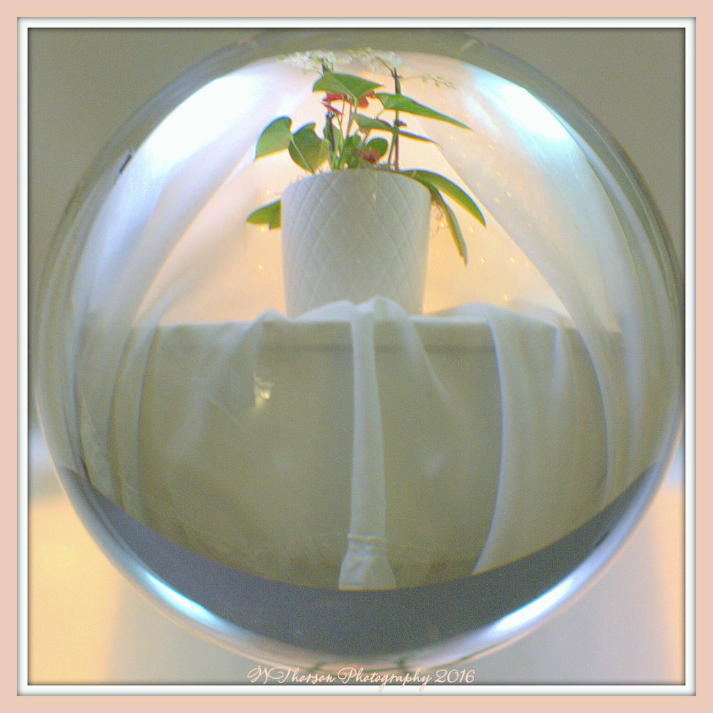 Orchid in Crystal 1-13-2016.jpg