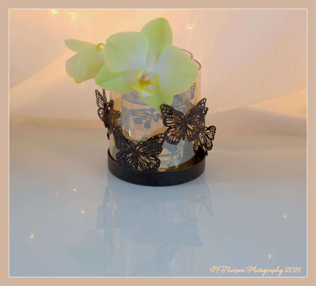 Orchids in a Butterfly Vase 6-29-2016.jpg