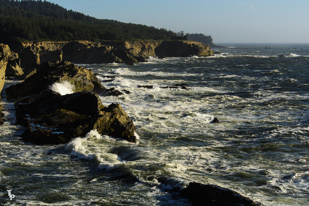 Oregon Coast Pic 1.jpg