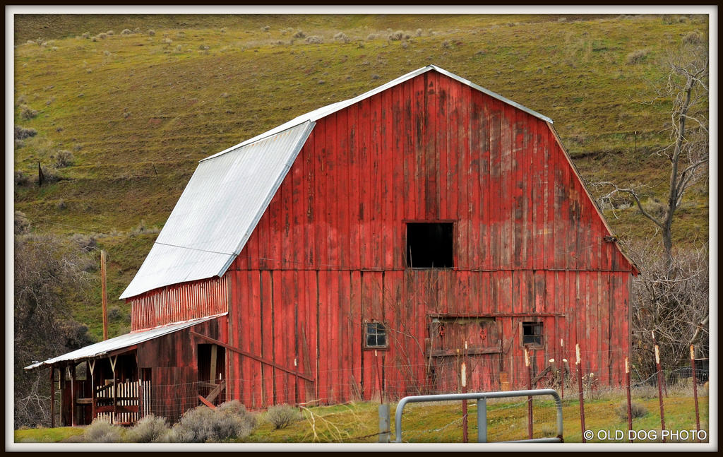 OREGON TRIP 421.jpg