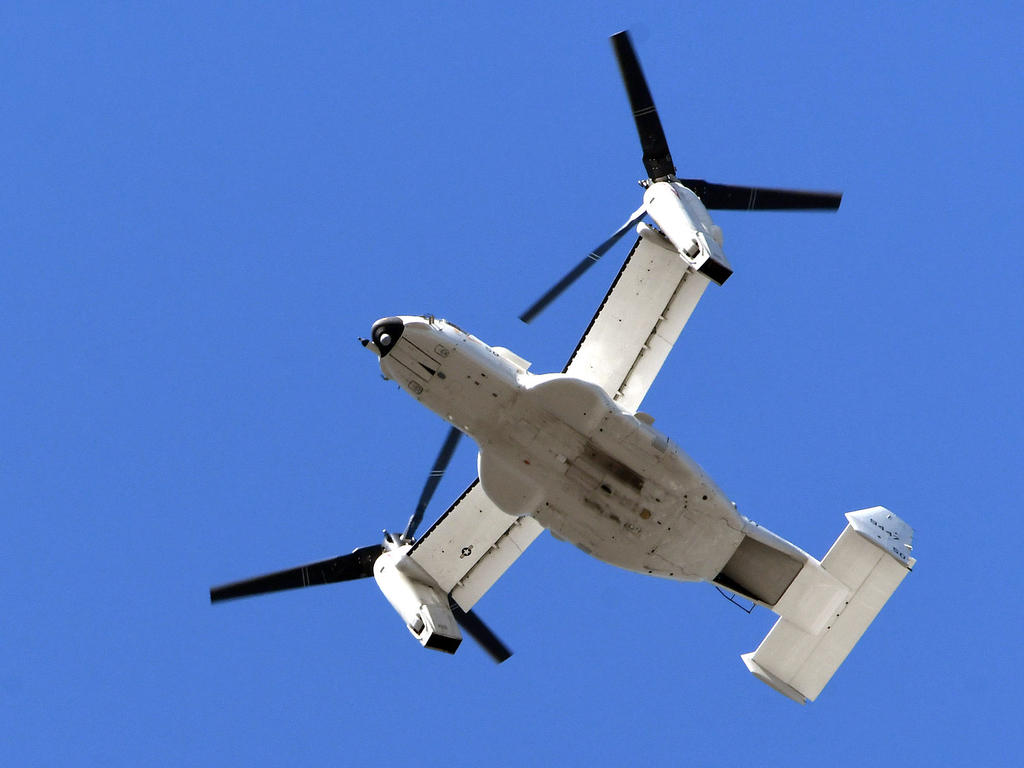 Osprey.jpg