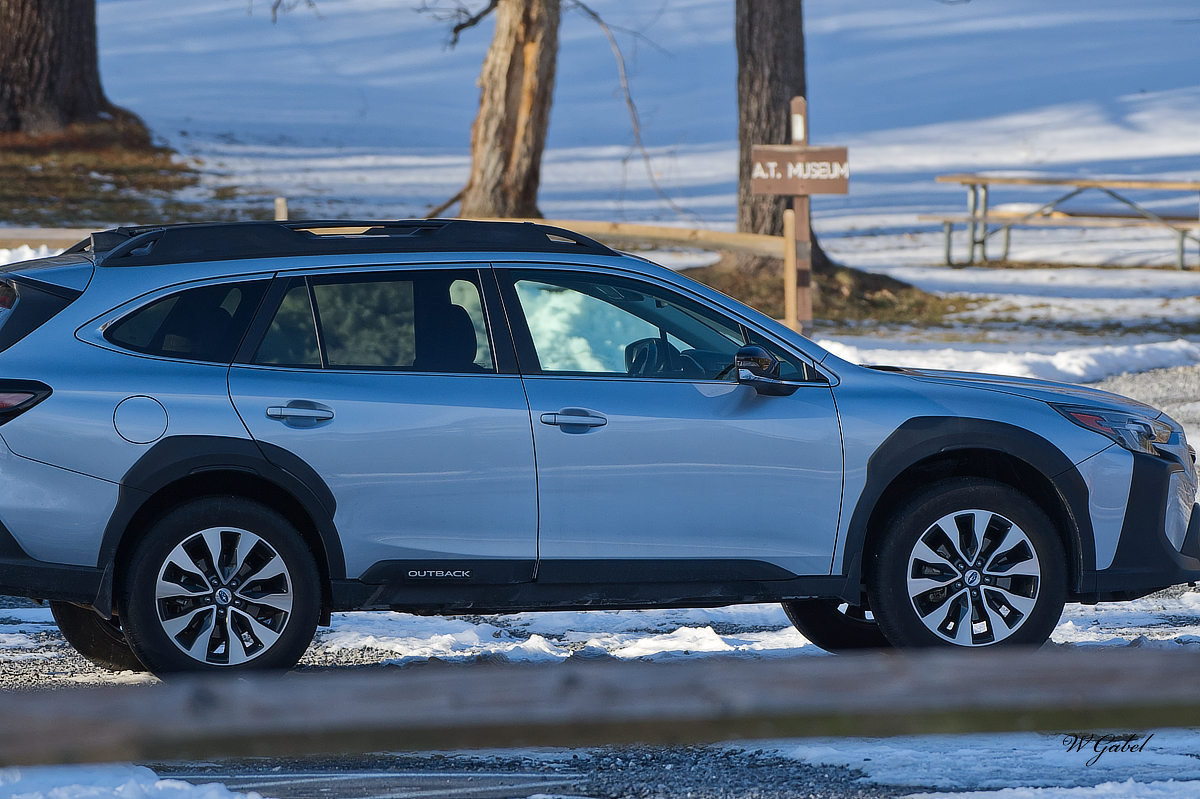 Our photo birdwatching car.jpg