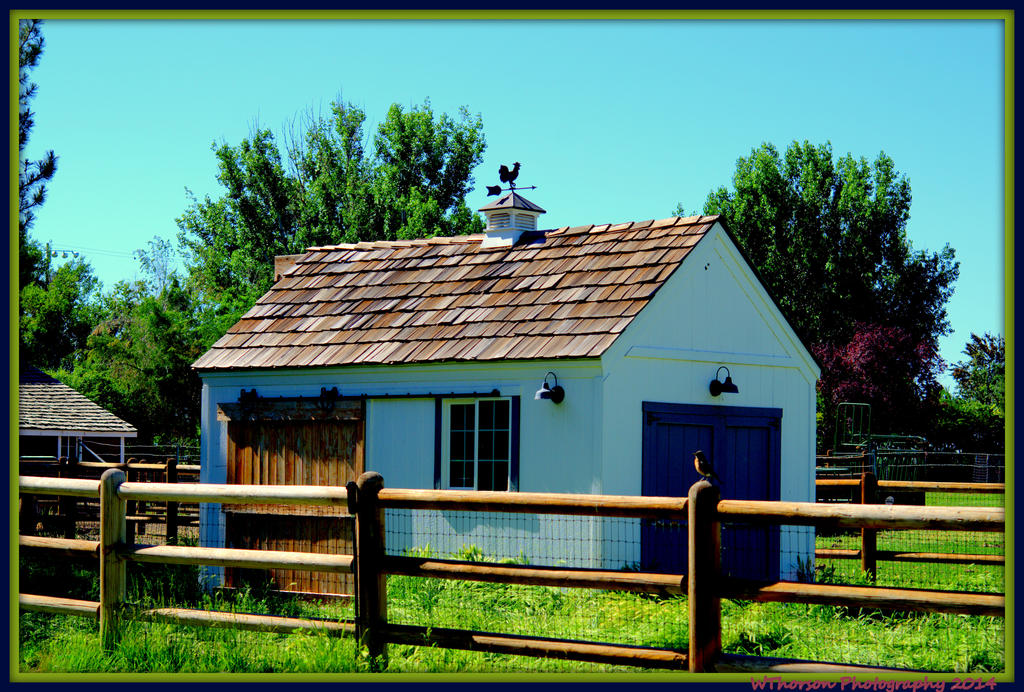 Out Building in Meadow with Robin on Fence.jpg