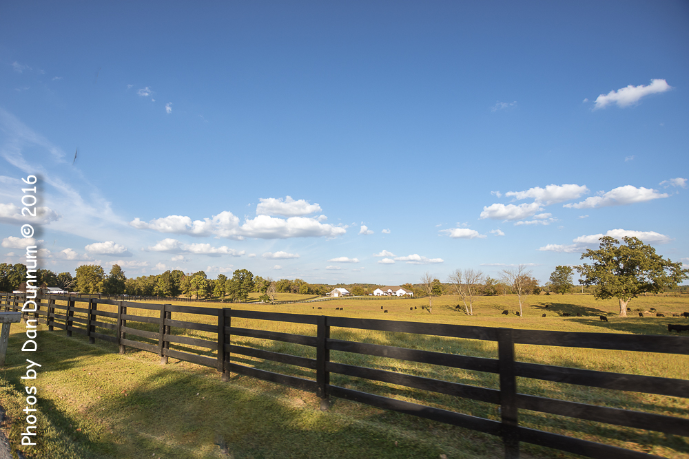 out n about-4330-Edit.jpg