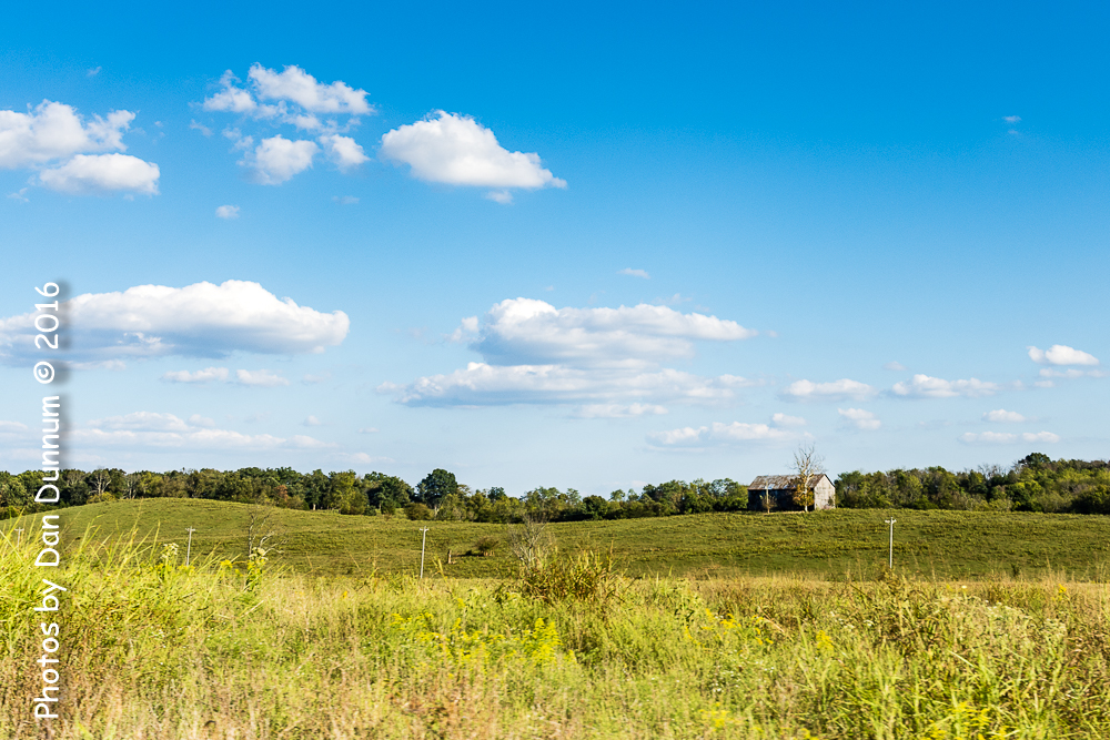 out n about-4348.jpg