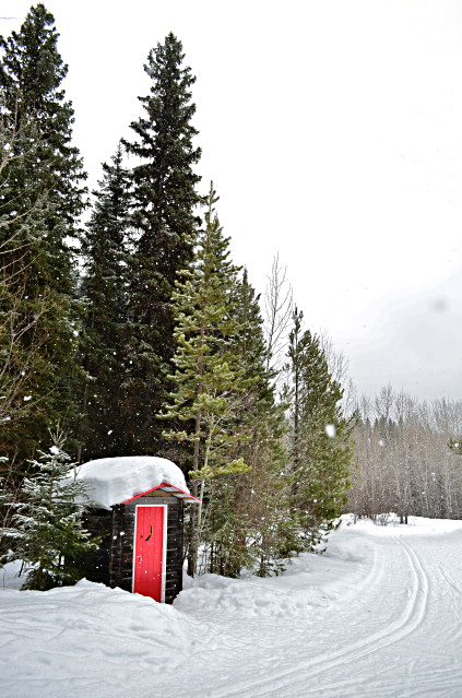 outhouse.jpg