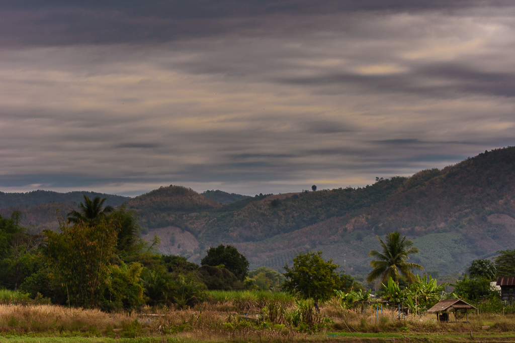 overcast-morning-1.jpg