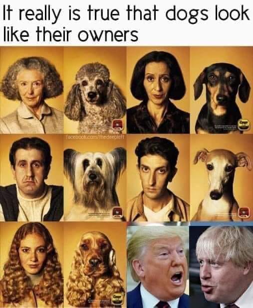 owners.jpg