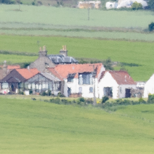 p1.jpg