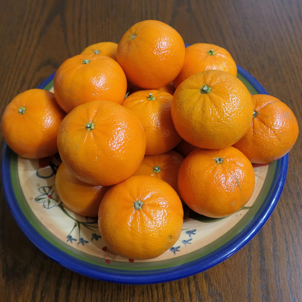 P1000005_cr_sm.jpg