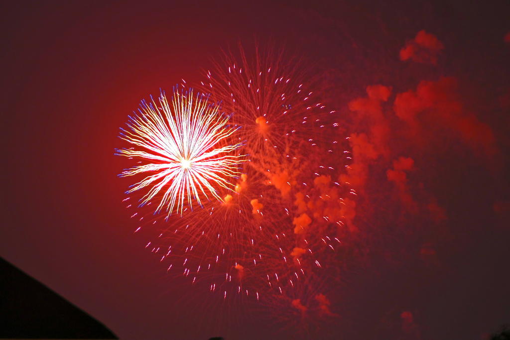 P1000042_L_sm.jpg P1000042_L_sm.jpg