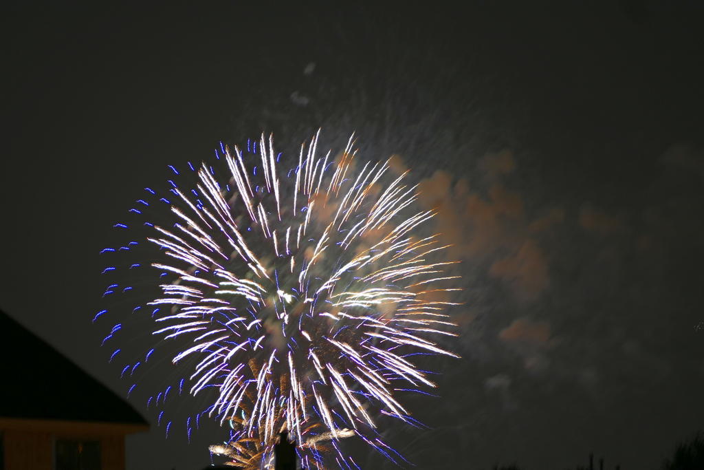 P1000054_LS_sm.jpg P1000054_LS_sm.jpg