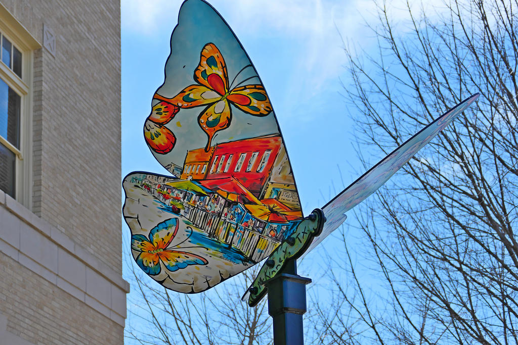 P1000209_RW2_LSh_sm.jpg