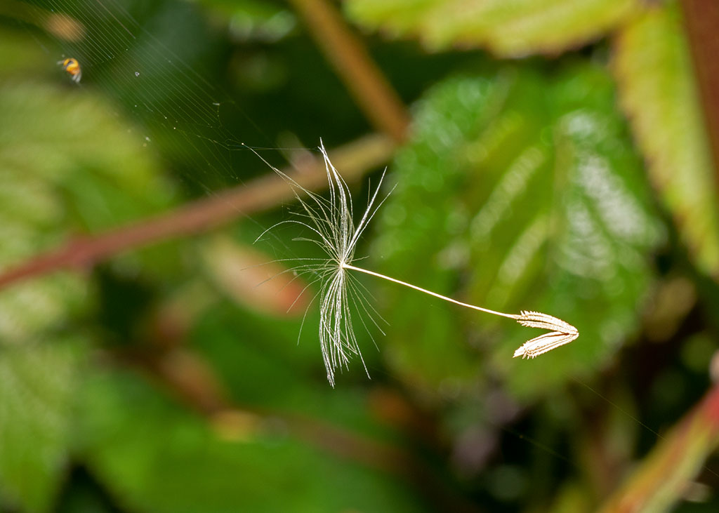 P1000468.jpg