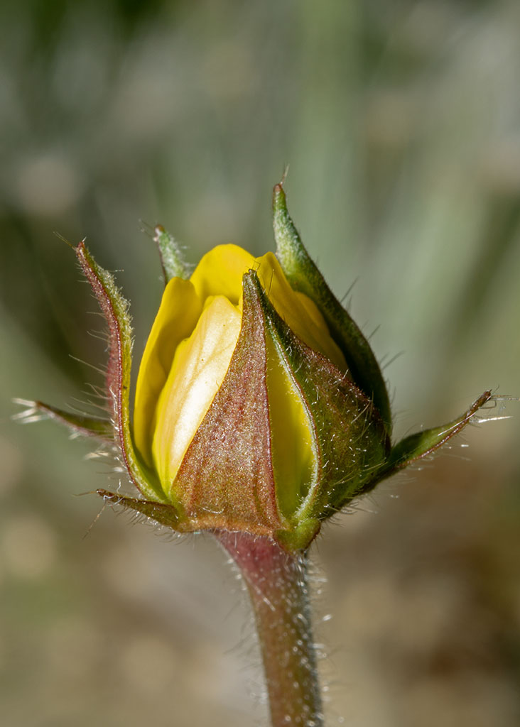P1000469.jpg