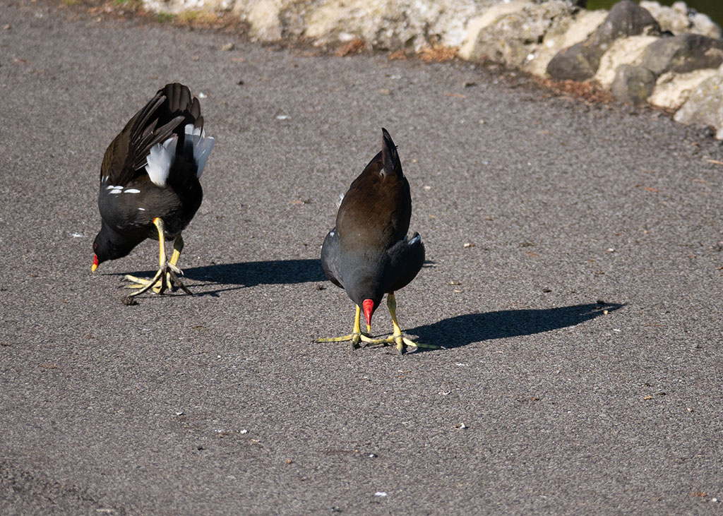 P1000555.jpg