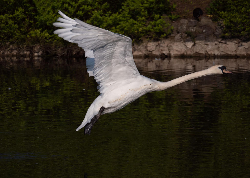 P1000917.jpg