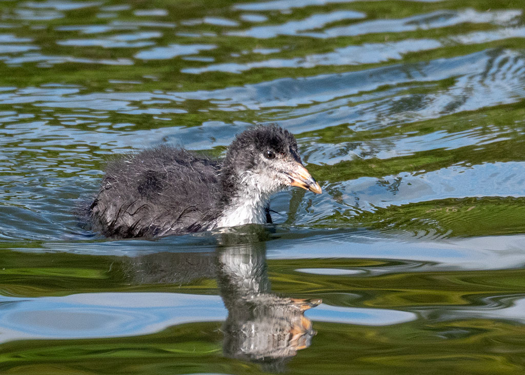 P1002015.jpg