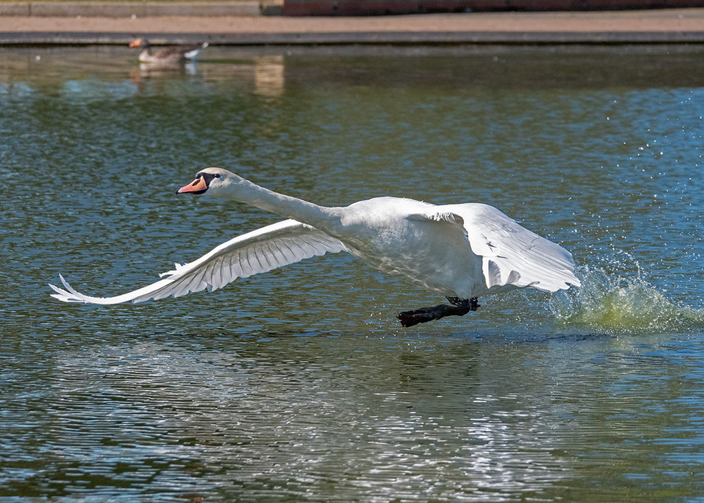 P1002334.jpg