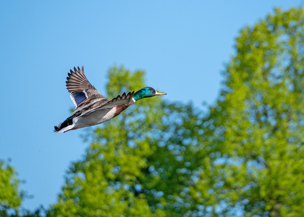 P1002455.jpg