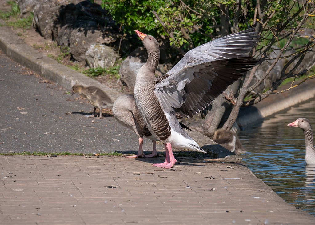 P1002620.jpg