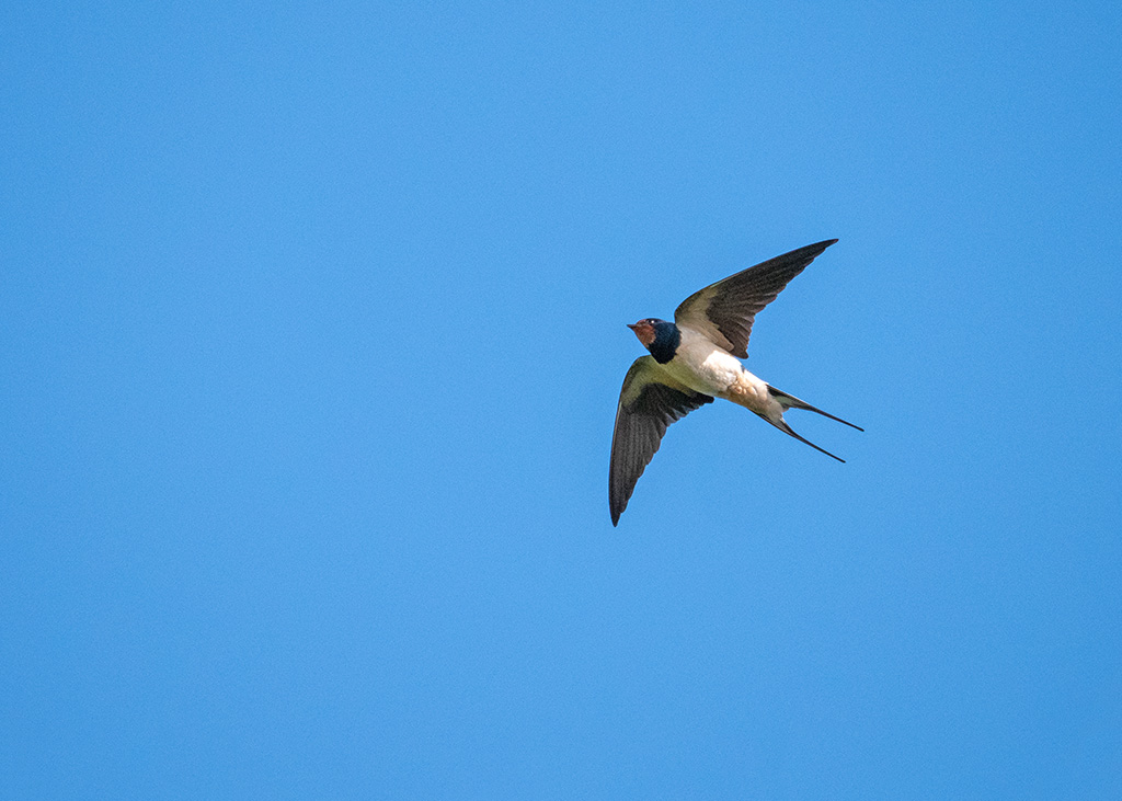 P1004644.jpg