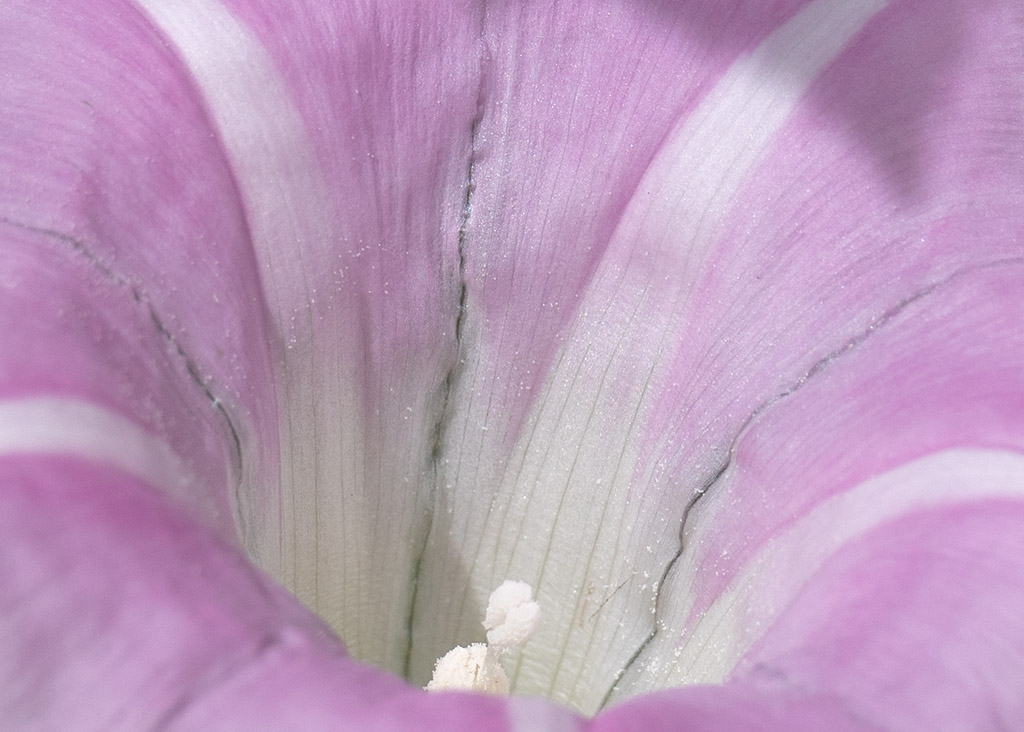 P1005439.jpg