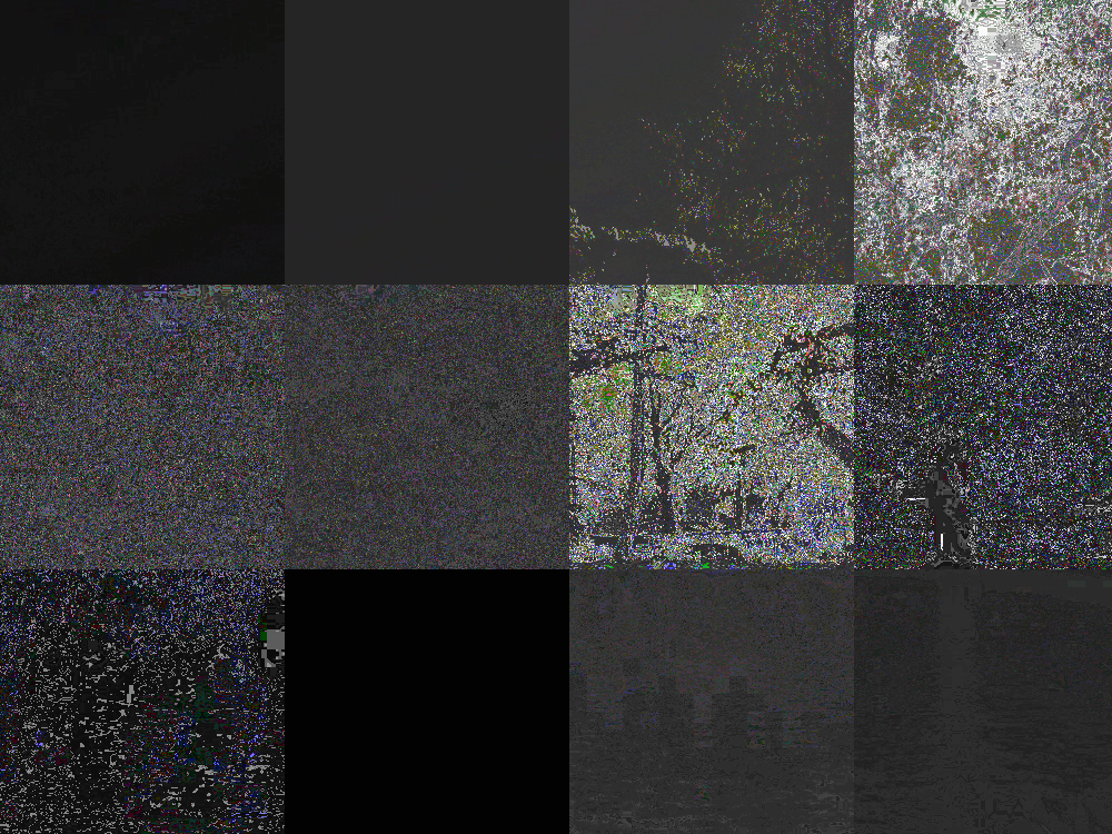P1010025mm.jpg